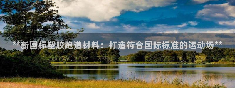 红足一1世皇冠：**新国标塑胶跑道材料：打造符合国际标准的运动场**