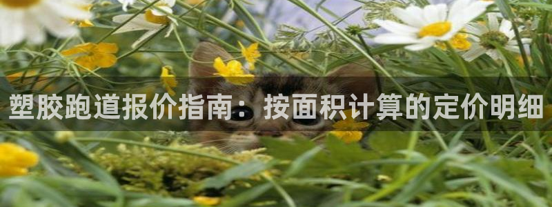 红足l一世开奖现场62ty：塑胶跑道报价指南：按面积计算的定价明细