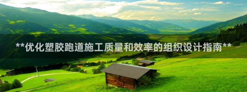 红足一1世手机开奖：**优化塑胶跑道施工质量和效率的组织设计指南**