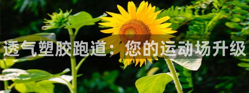 66814红足一66814世：透气塑胶跑道：您的运动场升级