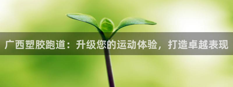 红足1世手机版下载：广西塑胶跑道：升级您的运动体验，打造卓越表现