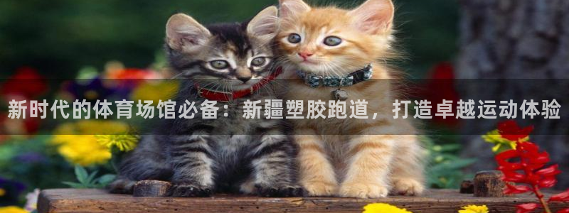 红足1一世 2站：新时代的体育场馆必备：新疆塑胶跑道，打造卓越运动体验
