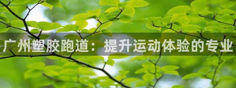 红足一1世666814足球：广州塑胶跑道：提升运动体验的专业