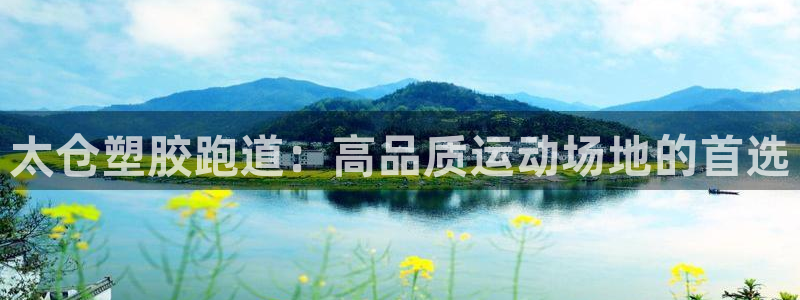 44814红足：太仓塑胶跑道：高品质运动场地的首选