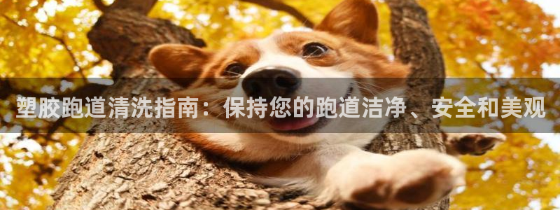 红足一1世手机版新皇冠：塑胶跑道清洗指南：保持您的跑道洁净、安全和美观
