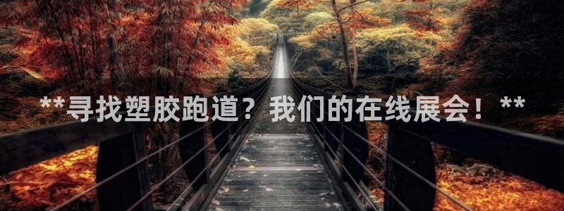百度红足一1是干什么的：**寻找塑胶跑道？我们的在线展会！**