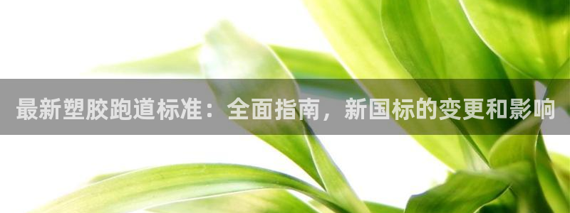 红足一1世66814新宝：最新塑胶跑道标准：全面指南，新国标的变更和影响