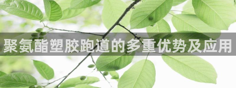 红足一生世：聚氨酯塑胶跑道的多重优势及应用