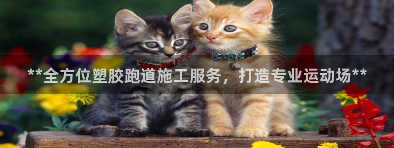红足一1世666814足球比分网：**全方位塑胶跑道施工服务，打造专业运动场**