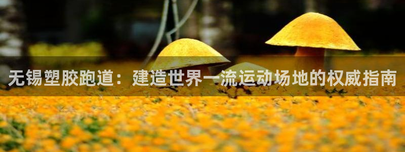 红足1世手机版下载：无锡塑胶跑道：建造世界一流运动场地的权威指南