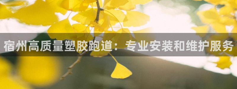 百度红足一1视频在线观看：宿州高质量塑胶跑道：专业安装和维护服务