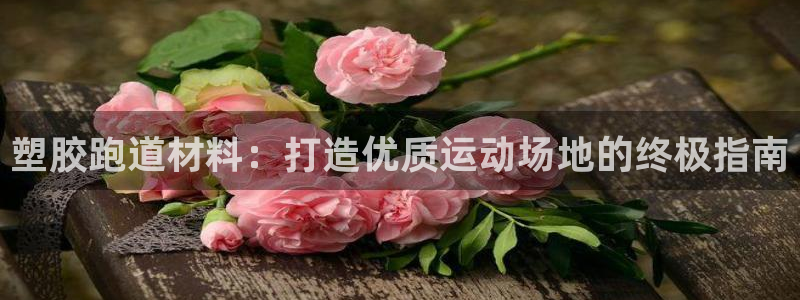 红足一生世：塑胶跑道材料：打造优质运动场地的终极指南