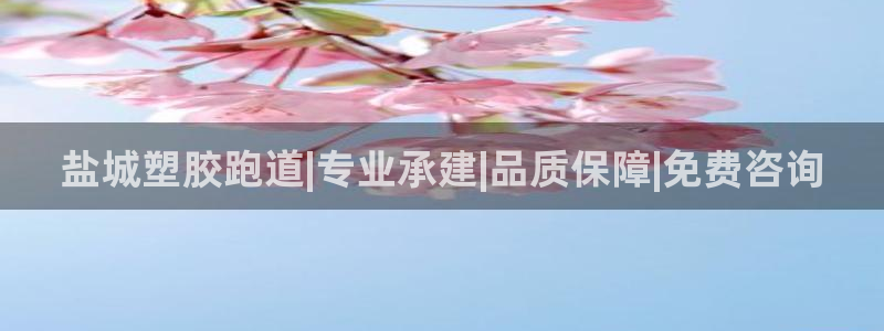红足1世足球网址大全：盐城塑胶跑道|专业承建|品质保障|免费咨询
