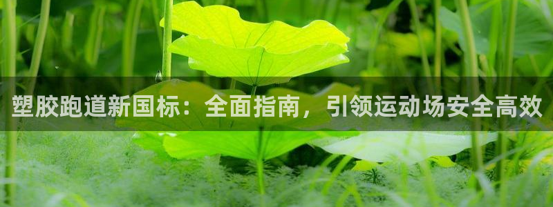 红足一1世比分网：塑胶跑道新国标：全面指南，引领运动场安全高效