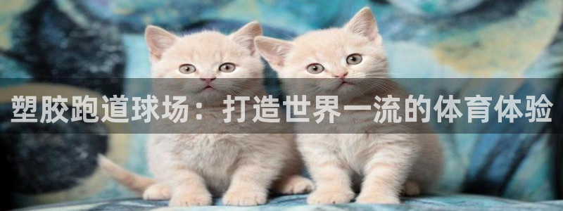红足i世足球手机网：塑胶跑道球场：打造世界一流的体育体验