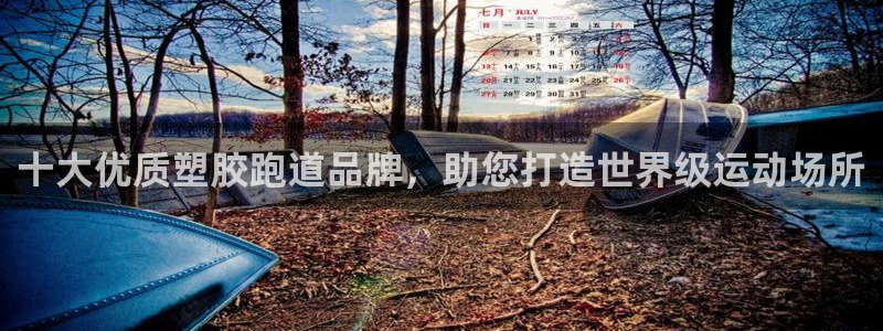 新2足球平台出租网站：十大优质塑胶跑道品牌，助您打造世界级运动场所