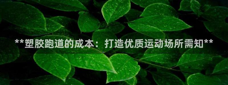 红足一1世比分网：**塑胶跑道的成本：打造优质运动场所需知**