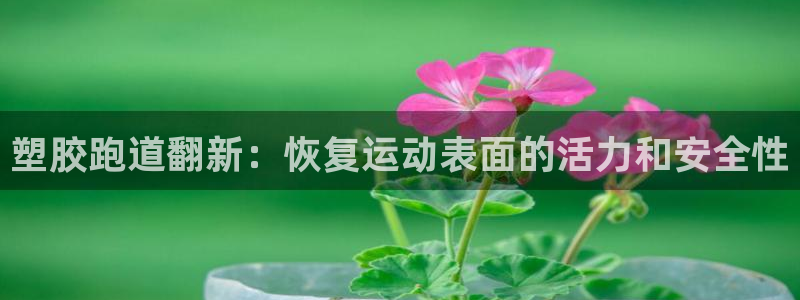 百度红足一1是什么样子的：塑胶跑道翻新：恢复运动表面的活力和安全性