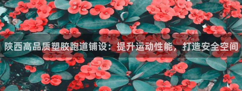 红足一一世足球网开奖记录：陕西高品质塑胶跑道铺设：提升运动性能，打造安全空间