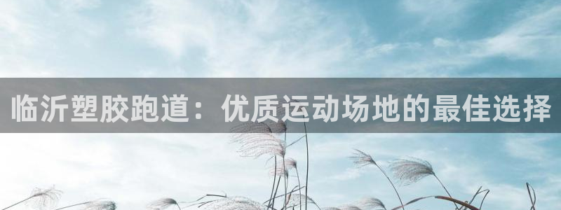 红足一：临沂塑胶跑道：优质运动场地的最佳选择