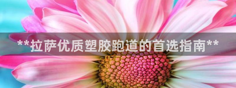 红足1世足球比分预测：**拉萨优质塑胶跑道的首选指南**