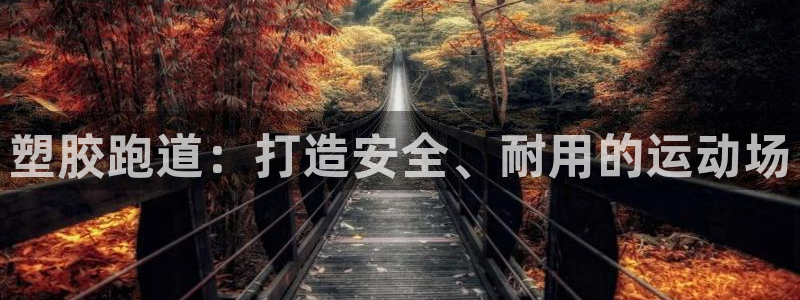 红足1世足球比分网址：塑胶跑道：打造安全、耐用的运动场