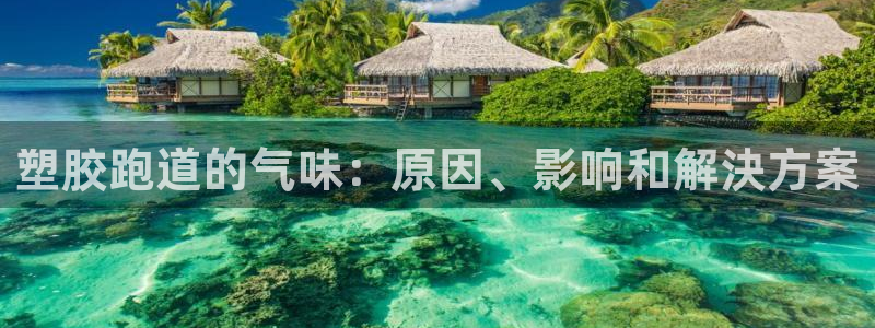 66814红足：塑胶跑道的气味：原因、影响和解決方案