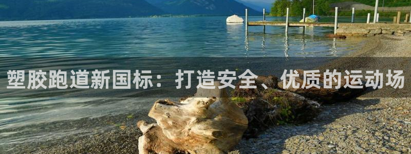 红足1世足球比分预测：塑胶跑道新国标：打造安全、优质的运动场
