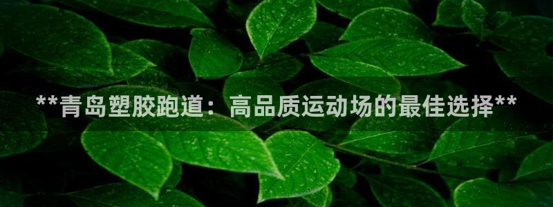 红足一1世666814足球比分网：**青岛塑胶跑道：高品质运动场的最佳选择**