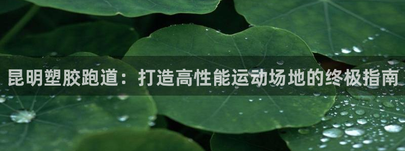 红足i世足球手机网：昆明塑胶跑道：打造高性能运动场地的终极指南