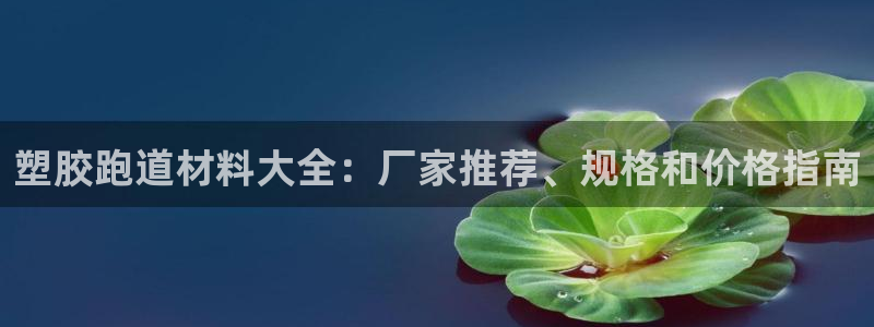 新2足球平台出租网站：塑胶跑道材料大全：厂家推荐、规格和价格指南