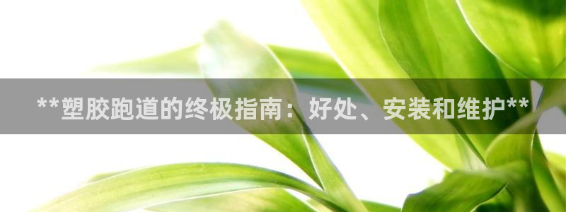红足一1世66814新宝：**塑胶跑道的终极指南：好处、安装和维护**