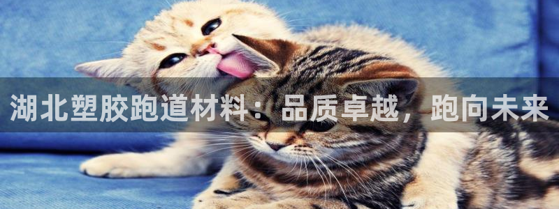 4633333开奖结果4176一点红：湖北塑胶跑道材料：品质卓越，跑向未来