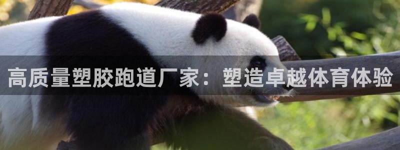 红足1世开奖预测：高质量塑胶跑道厂家：塑造卓越体育体验