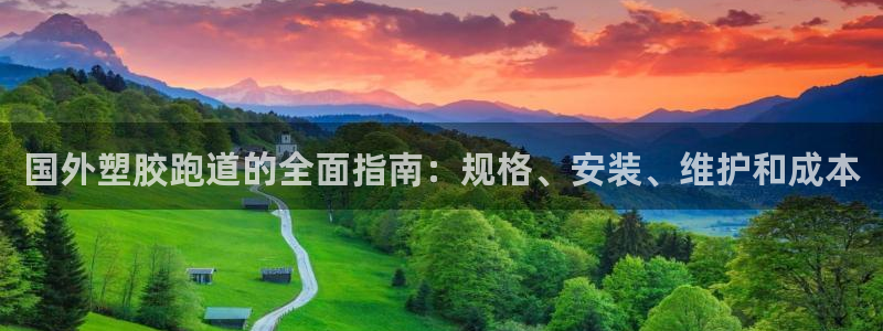 红足一1世比分网：国外塑胶跑道的全面指南：规格、安装、维护和成本