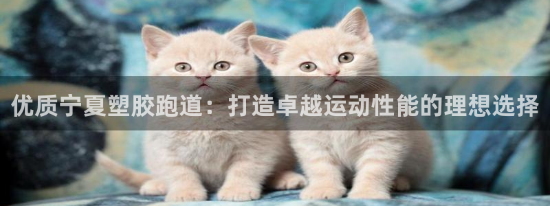 777814红·足一世比分：优质宁夏塑胶跑道：打造卓越运动性能的理想选择