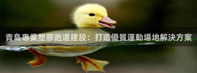 红足1世足球：青島專業塑膠跑道建設：打造優質運動場地解決方案