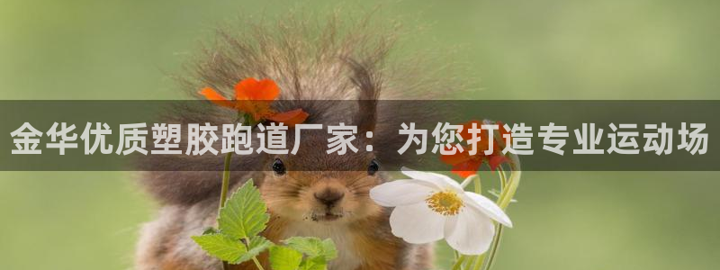 红足1世手机版下载：金华优质塑胶跑道厂家：为您打造专业运动场