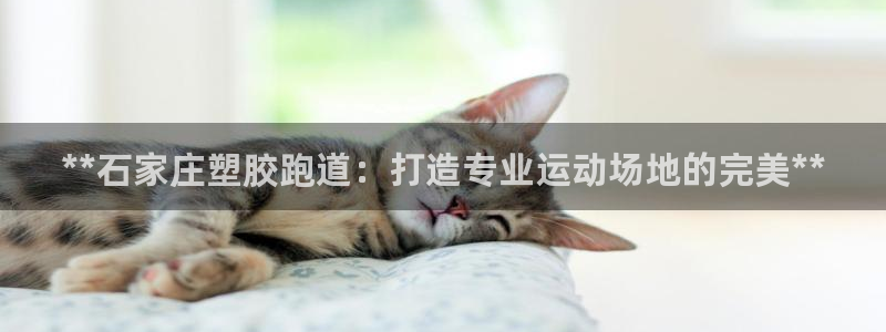 红足一1世66814：**石家庄塑胶跑道：打造专业运动场地的完美**