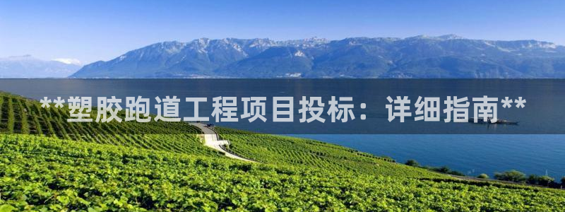 红足1世足球比分：**塑胶跑道工程项目投标：详细指南**