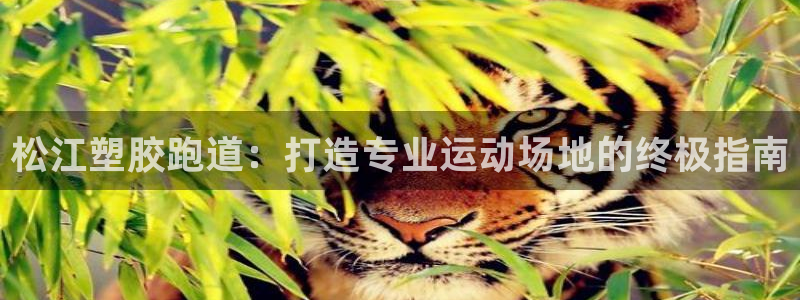 红足一比分网