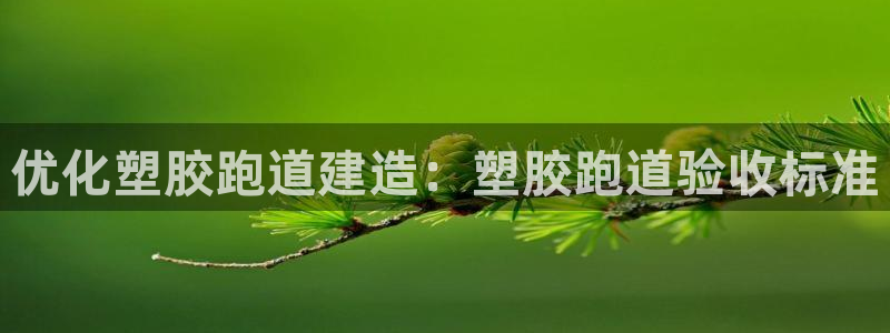 红足1世手机版下载：优化塑胶跑道建造：塑胶跑道验收标准