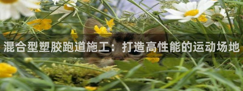 44814红足：混合型塑胶跑道施工：打造高性能的运动场地