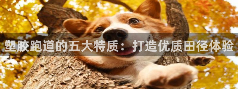 红足一球：塑胶跑道的五大特质：打造优质田径体验