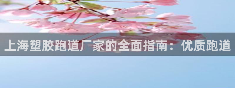 777814红·足一世比分：上海塑胶跑道厂家的全面指南：优质跑道