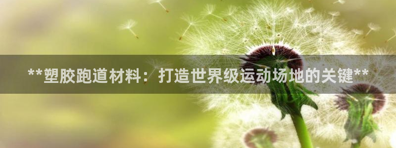 333814红·足一世比分：**塑胶跑道材料：打造世界级运动场地的关键**