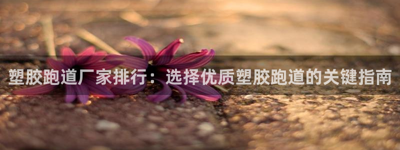 红足一1世666814最新结果：塑胶跑道厂家排行：选择优质塑胶跑道的关键指南