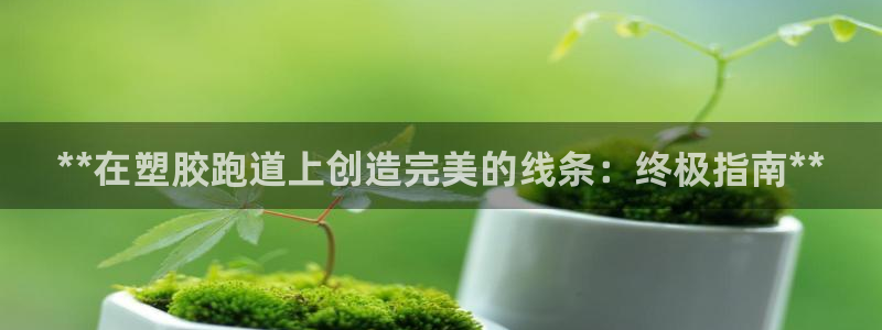 红足一1世平台：**在塑胶跑道上创造完美的线条：终极指南**