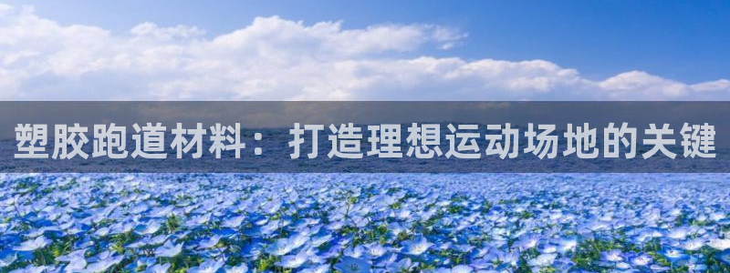 红足一一世：塑胶跑道材料：打造理想运动场地的关键