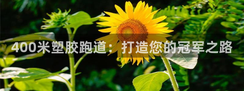 红足一1世官网足球推荐真人：400米塑胶跑道：打造您的冠军之路